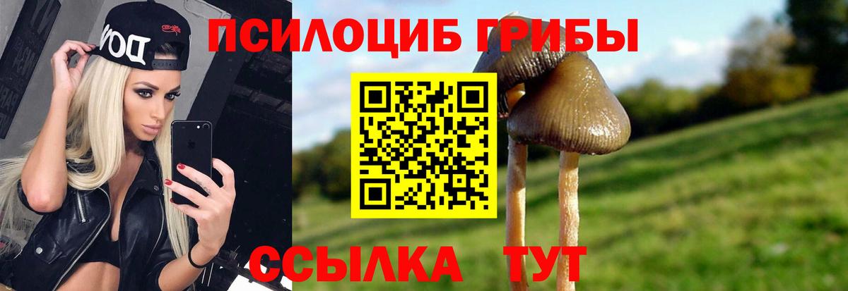 Соликамск  Псилоцибиновые грибы Psilocybine cubensis  Вход с VPN  Галлюциногенные грибы мухоморы 