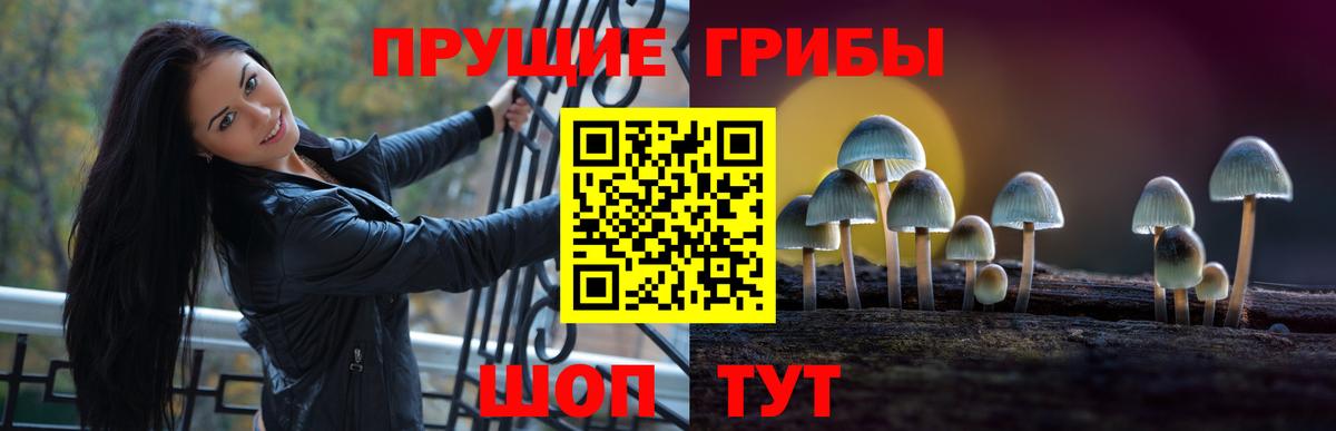 Галлюциногенные грибы мухоморы Соликамск