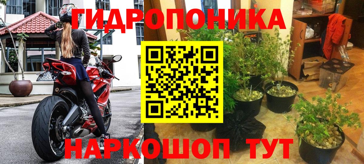 Марихуана индика  Шишки марихуана тримм  Вход с VPN  Конопля VHQ  Соликамск 